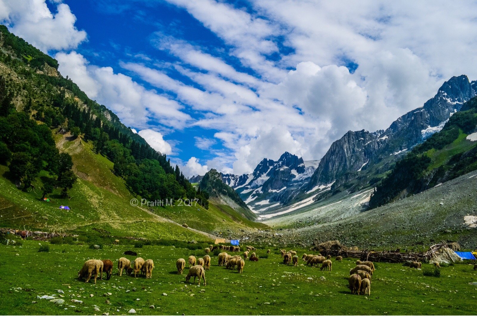 2 Days in Sonamarg for a Nature Trip