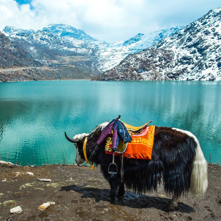 Sikkim